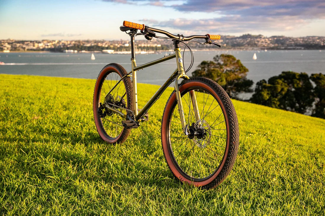 Marin Muirwoods